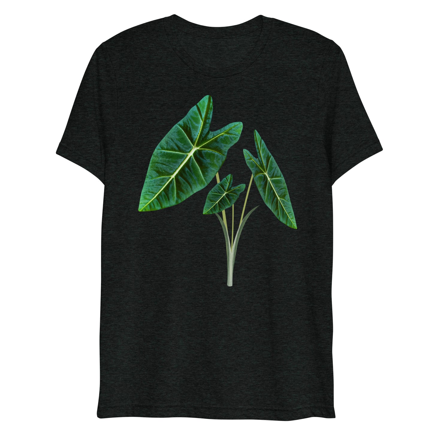 Tropical Leaves 4 Short sleeve t-shirt