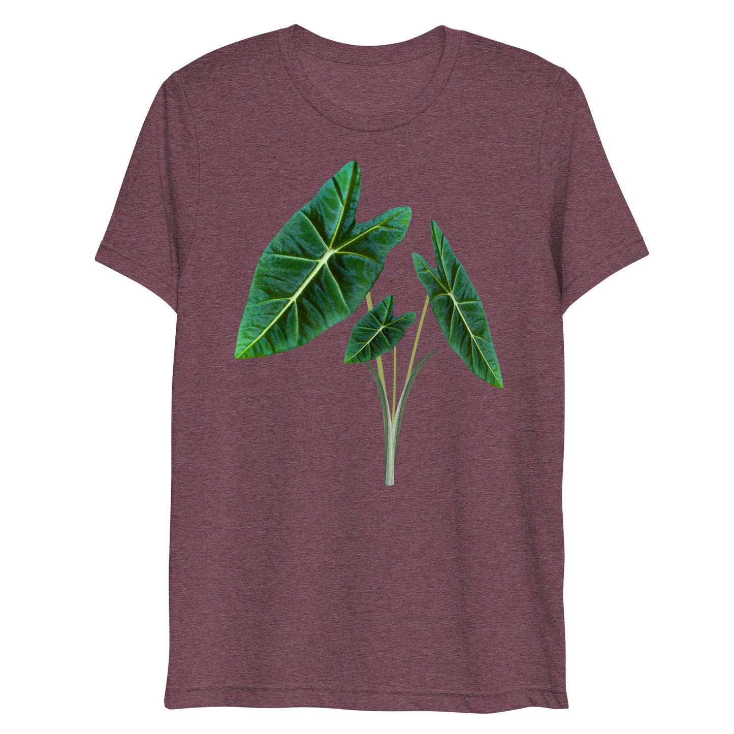 Tropical Leaves 4 Short sleeve t-shirt