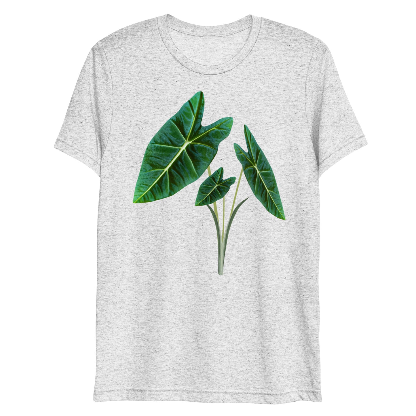 Tropical Leaves 4 Short sleeve t-shirt