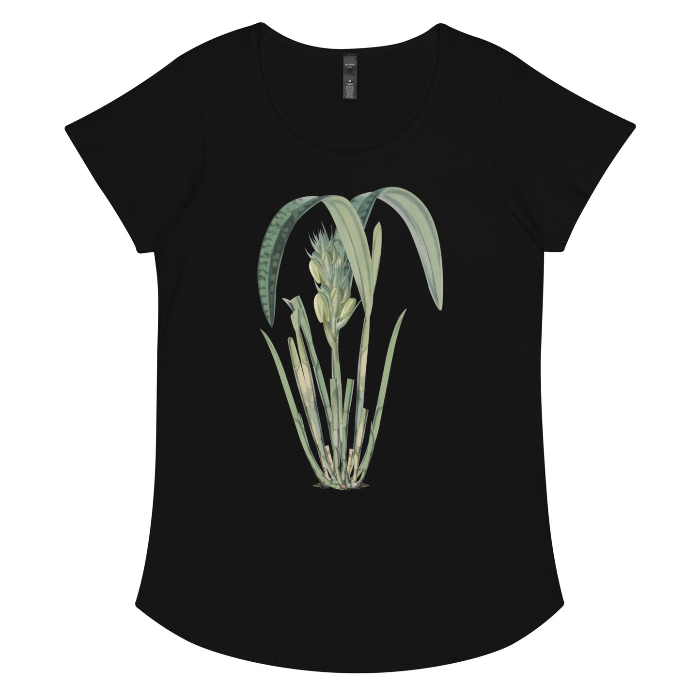 Tropical Leaves 3 Women’s round neck tee