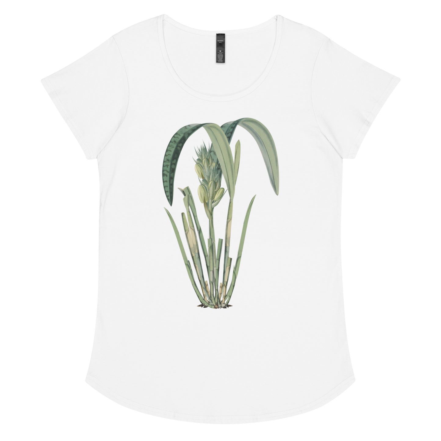 Tropical Leaves 3 Women’s round neck tee