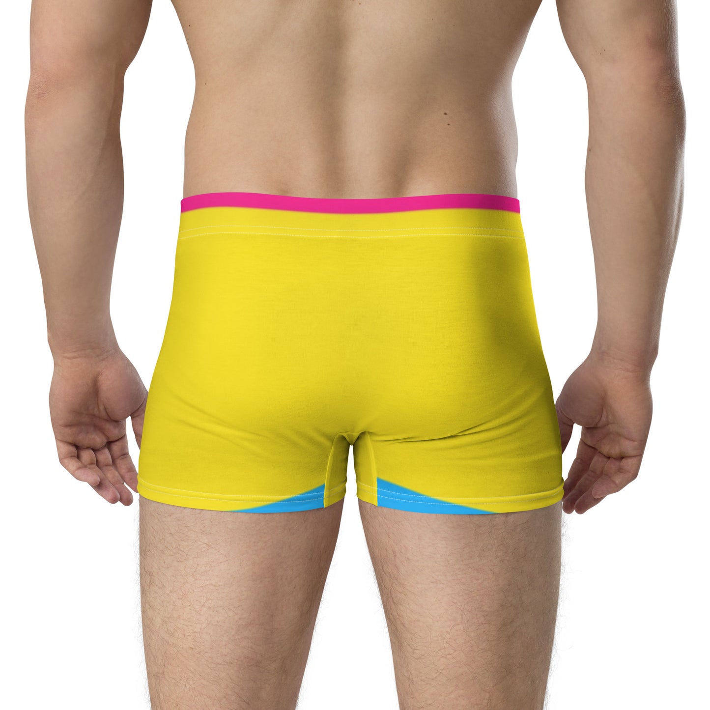 Pansexual Vibe Boxer Briefs