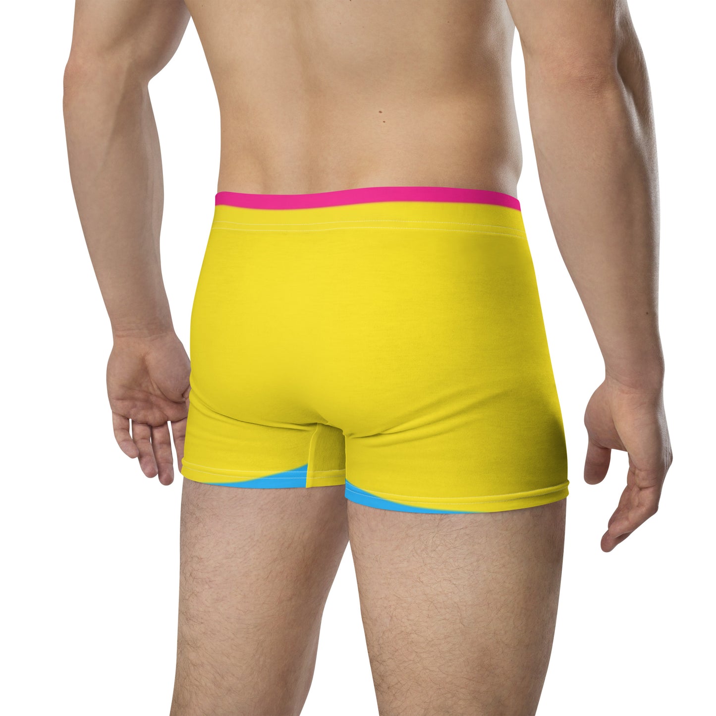 Pansexual Vibe Boxer Briefs