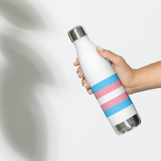 Stainless Steel Water Bottle