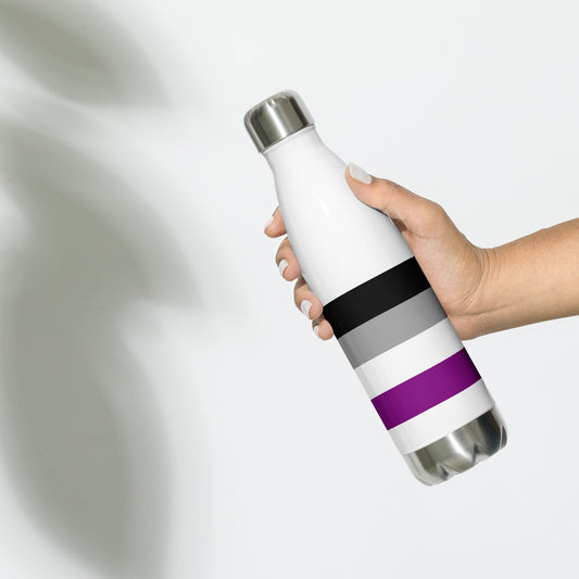 Stainless Steel Water Bottle